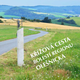 KŘÍŽOVÁ CESTA BOLESTÍ REGIONU OLEŠNICKA